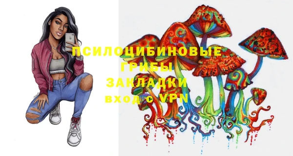 а пвп мука Богородицк